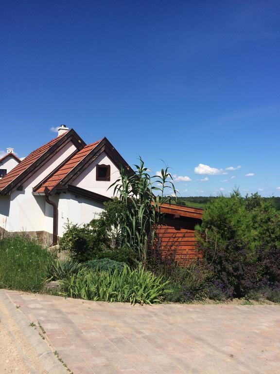 Apartament Voeroesmal Vendeghaz Balatonfüred Zewnętrze zdjęcie